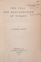 The fall and resurrection of Turkey